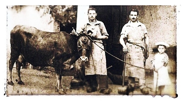 René Usureau, boucher à Saint-Martin de Beaupréau accompagné de son commis et de son fils