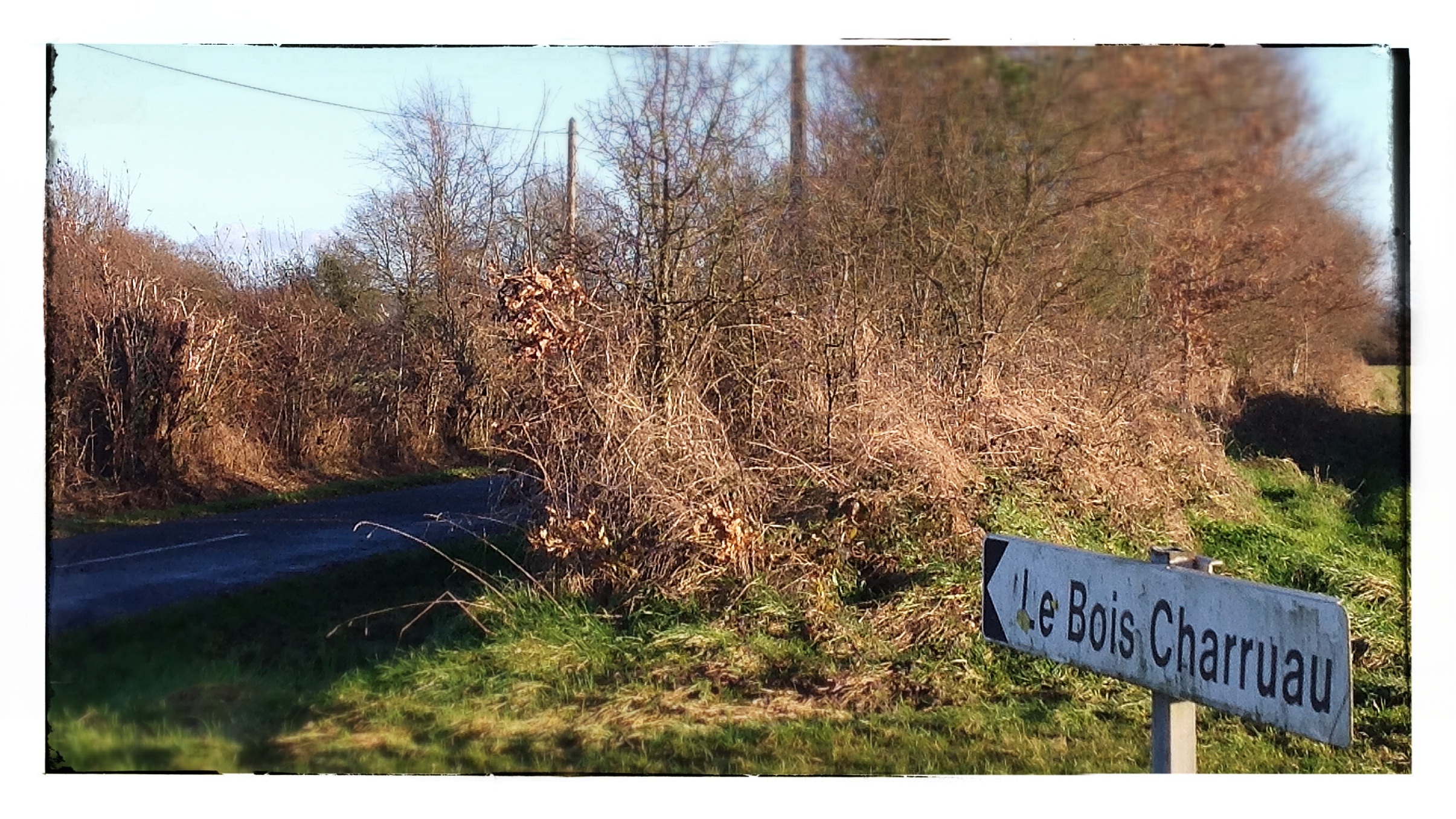 Le lieu dit du Bois Charruau, route du Longeron