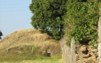 Cholet : la glacière du château de la Tremblaye, un ouvrage insolite